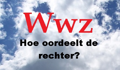 Hoe oordeelt de rechter onder de Wwz?