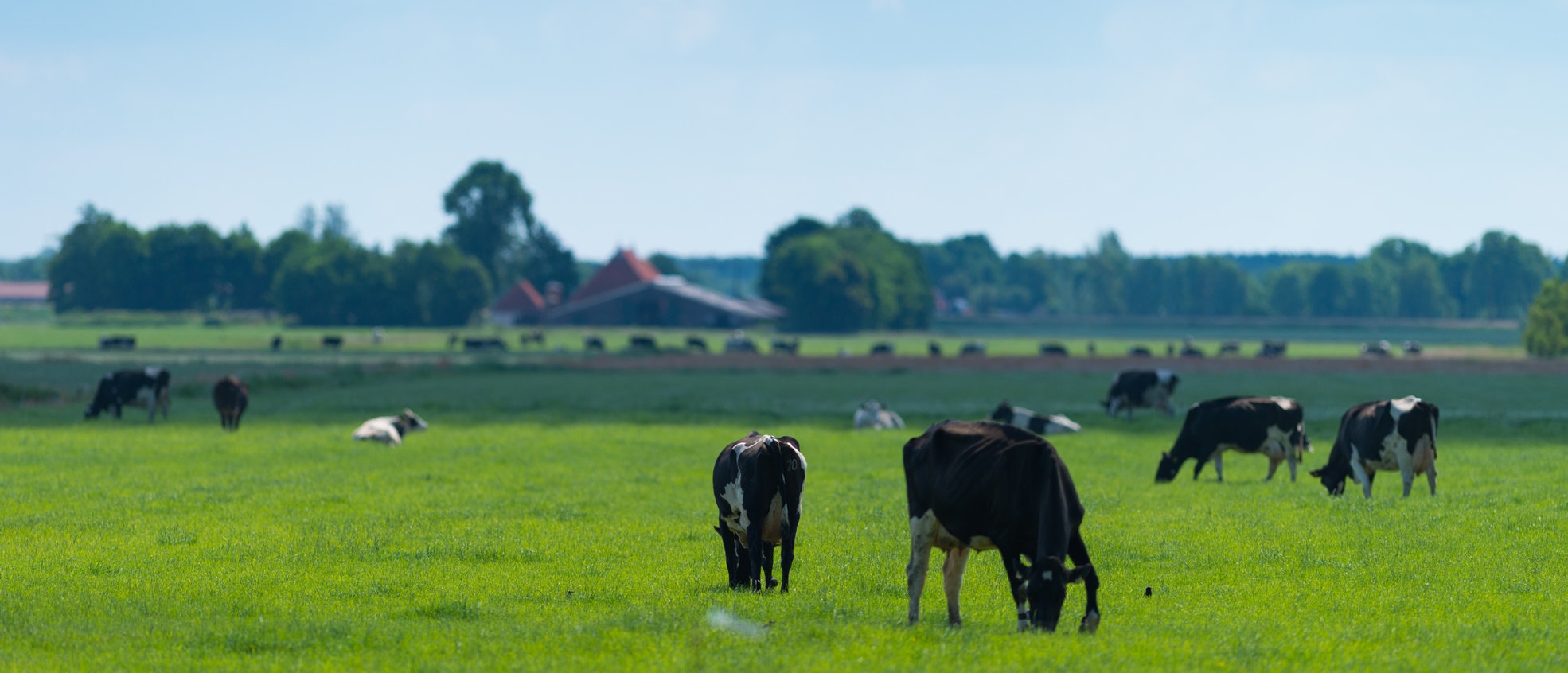 Agrarisch &#038; Grondzaken