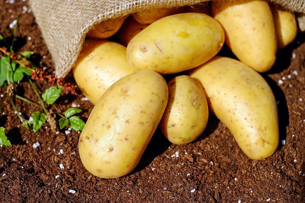 Land- en tuinbouw opgelet! Aanvullende noodmaatregelen