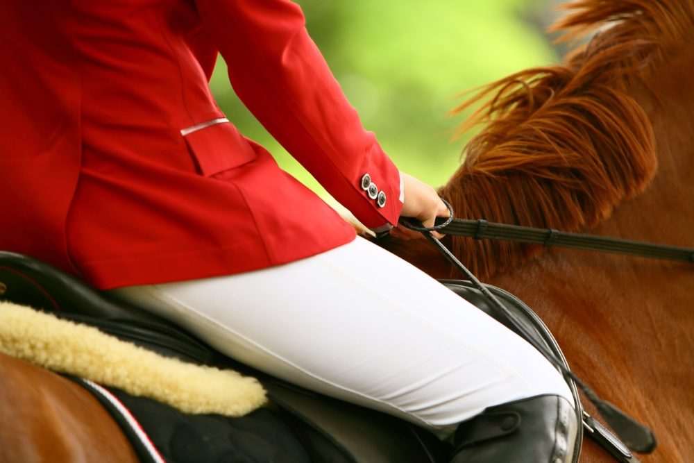 Het ontbinden van de overeenkomst en het verhalen van schade bij de aankoop van een paard of pony met gebreken