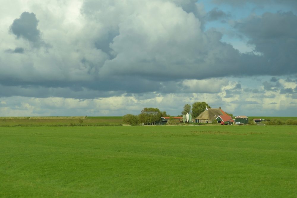 Tips uit de praktijk om uw familiebedrijf goed over te dragen