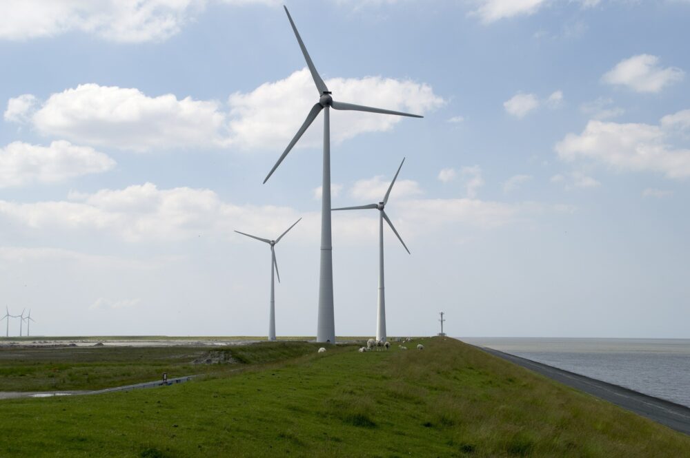 Vergunning verlenen voor de aanleg van een windturbinepark? Vergeet het Europese recht niet!