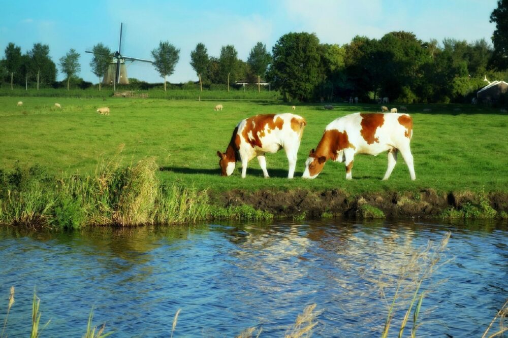 Legalisatieprogramma PAS van start gegaan